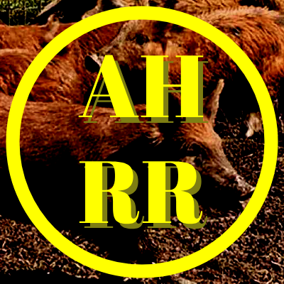 HogResponse's profile picture. Public intellectual. Identifying and intercepting hogs.