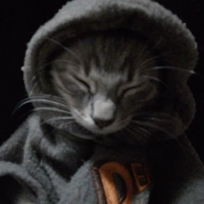 fffxw00's profile picture. 