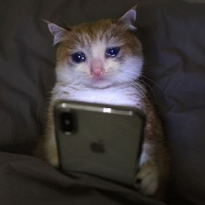 dudafoden's profile picture. 21 yo  🏳️‍🌈. I grew up  in Earl Court, Kensington,  London, UK 🇬🇧 
Currently I live  in San Jose, SC, Brazil, 🇧🇷  🌴 🏖 🌞