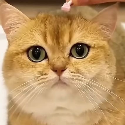 AtitayaKrajay's profile picture. 