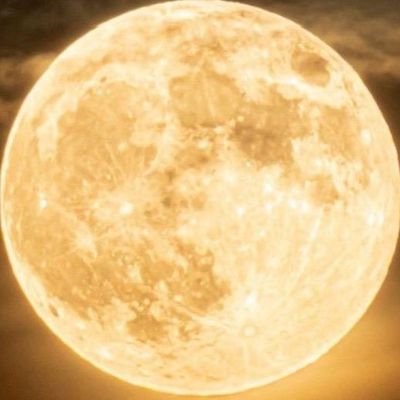 6Ulu3uy2z488218's profile picture. 