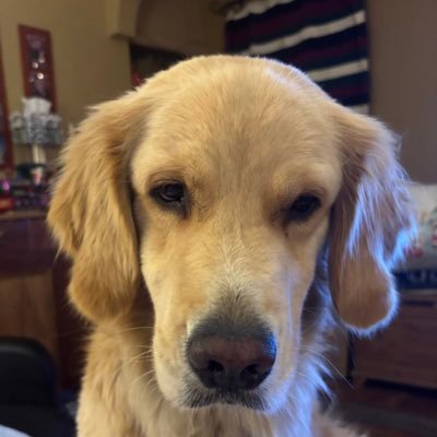 SarahjaneGille1's profile picture. Animal lover, Coffee Lover, Travel, Hockey & Tennis