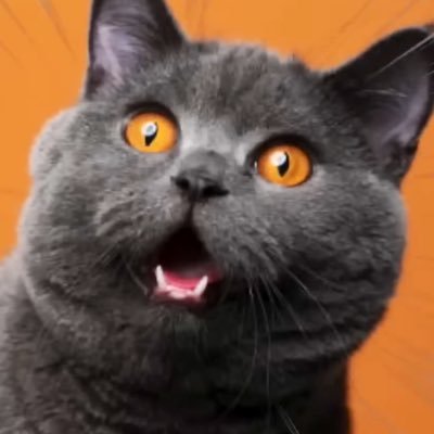 GOGO_UMAIMESI's profile picture. 食を楽しんでます