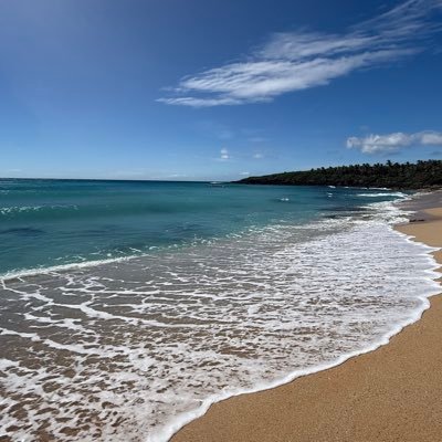 TigerRen4's profile picture. 