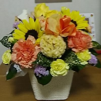 uBYe49qZ2v52359's profile picture. 