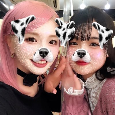 yuina_chego's profile picture. ❤︎チェゴ専門垢 ❤︎ チェゴとまほちが大好きなオタク❕💖 チョアの皆さんと仲良くなりたいです🙌🏻💭無言フォローも失礼します🙇🏻‍♀️՞