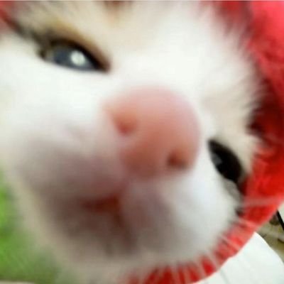 anakperctama's profile picture. 💼 09.00 — 22.00 WITA