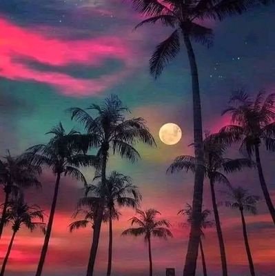 ju25198's profile picture. HSP+Introvert+INFJ