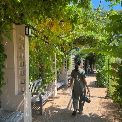 CordeliaSantoro's profile picture. 27. no mud, no lotus 🪷