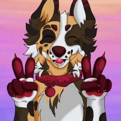 EmiratesGull's profile picture. 🌿🌿Official Wolf Account🌴🌴Digital Arts 3D Work❤And Gemer Aspiring 💥Animator Videos & top trending Write Stories⭐He/Him 18🔥No Minor Allowed 🇺🇸Feel free DM