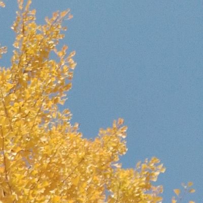 samie_samie_32's profile picture. ＃日本保守党  を応援してます🇯🇵
日本文化、伝統は素晴らしい。未来に繋いでいきたいのです。
ここ数年は刀剣を見に出かけるようになりました。

＃あさ8　＃まさる部　＃刀剣乱舞