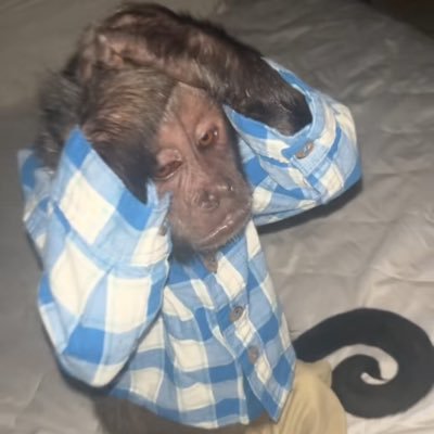 enterlife_'s profile picture. 