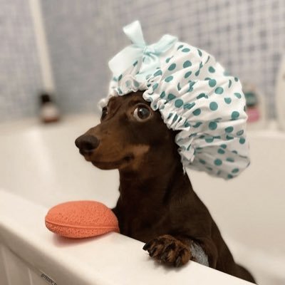 irsgtag's profile picture. youtuber