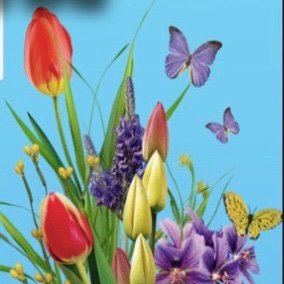 illegalbutton's profile picture. 