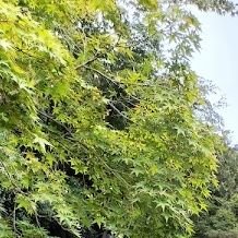 SzTQKqTzid17511's profile picture. 