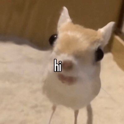 h07104888's profile picture. 2