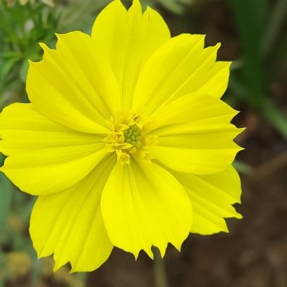 BarveNutan's profile picture. general surgeon Hariom Hospital
member judge permanent lok adalat
member judge state consumer commission 
Brand ambassador swachcha bharat
abhiyan
CWC