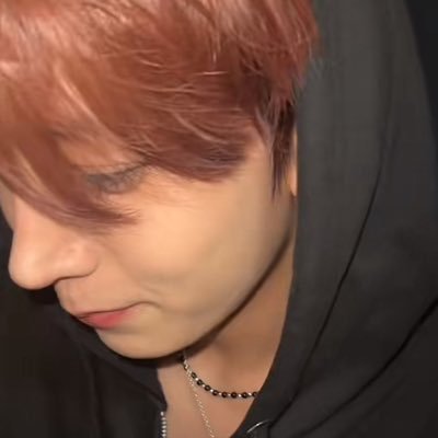 808_ssack's profile picture. 애완용 햄스터