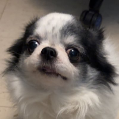 Railer63's profile picture. g59