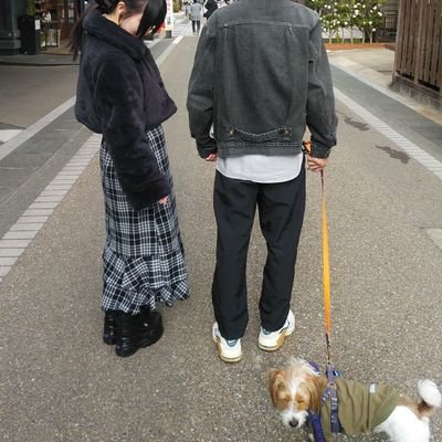 pixyandpixy's profile picture. 身体は動く鬱

#まりりんカレンダー
#うまりりん
#蜂蜜皇帝
#ぎふわっか
#FC岐阜
#うまじぇー
#うましゅまろ