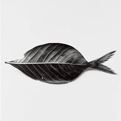 suxiaoyo's profile picture. 电商生意人｜每天 2 小时工作｜争取活到 2100 年｜健身/超越百岁/搞流量/自媒体分享