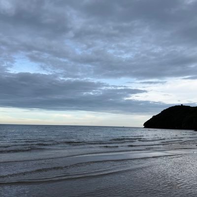 multi1165663's profile picture. 