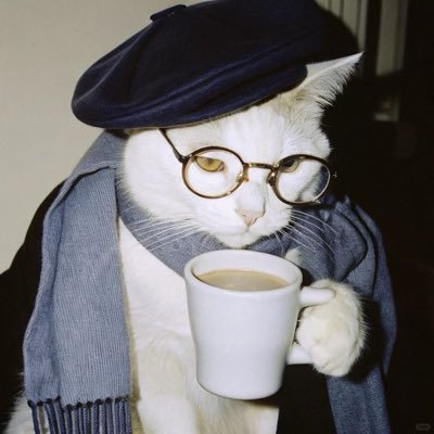 gatunopreto's profile picture. 🩺 usp 2026 | Me conheças francês 🇫🇷 / 22yo, sua futura médica cirurgiã