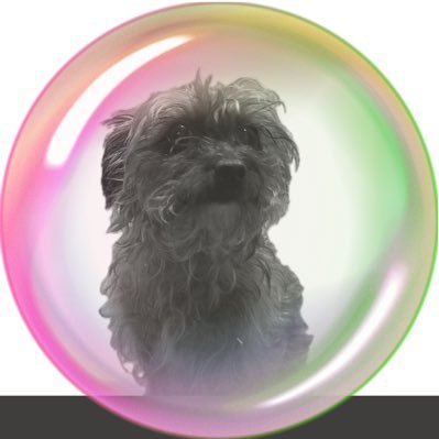 vinylswiftie89's profile picture. Christian, Swiftie, Disney Fanatic, Chiefs Fan. TN x1 (11/11/24). GHQ x1 (10/30/25). ❤️‍🔥🧨