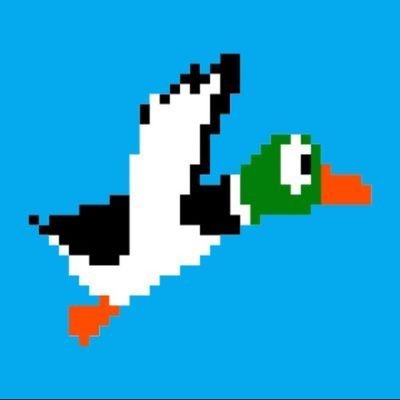 XMRDuckets's profile picture. 