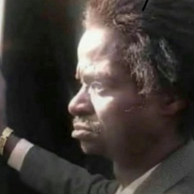 wishbumpycoulda's profile picture. American Descendant of Slavery🇺🇸Mutale Nkonde sold my Twitter profile pic, my face to the Ford& MacArthur Foundations for grant money. #FactsAreNotAttacks