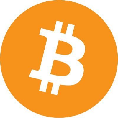 btcberra's profile picture. 