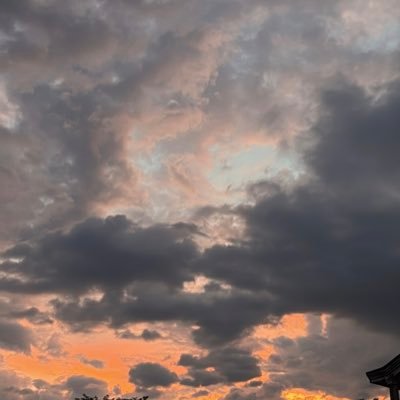 juliantinazzie's profile picture. 