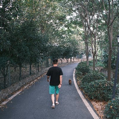 SHAIKFA60753656's profile picture. 唯有牡丹真国色，花开时节动京城。