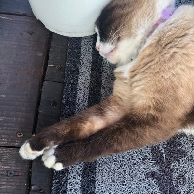 okagesama0021's profile picture. 人との繋がりに感謝！温泉サウナ 美味いものお酒♡ 株アカウント 米株初心者🔰 雰囲気適当イナゴ界隈 $NBIS ネビウスしか勝たん！