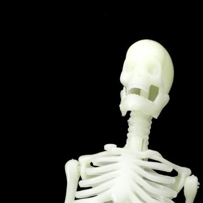 rawtismmm's profile picture. Caniac first, fps addict on the side