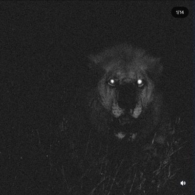 Lzzzzz_01's profile picture. 