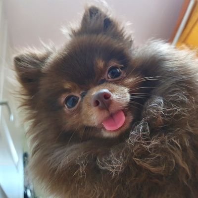 angangmaui70516's profile picture. I like money.