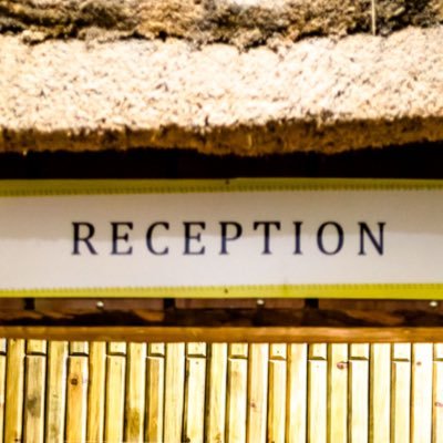 progius's profile picture. 