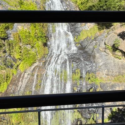 Glifepeter's profile picture. 