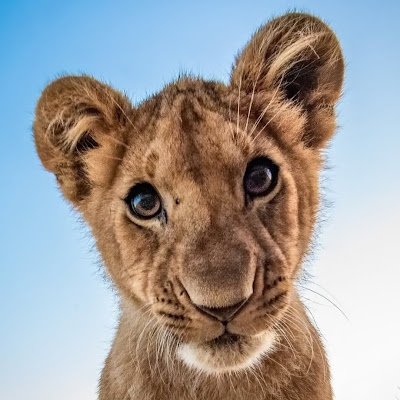 lohi_007's profile picture. 