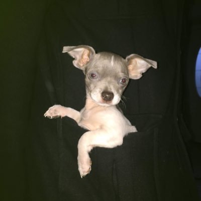 Pammywho's profile picture. No DMs I will delete you, Christian, Happily Married, No filter, #MAGA Supporter #WETHEPEOPLE