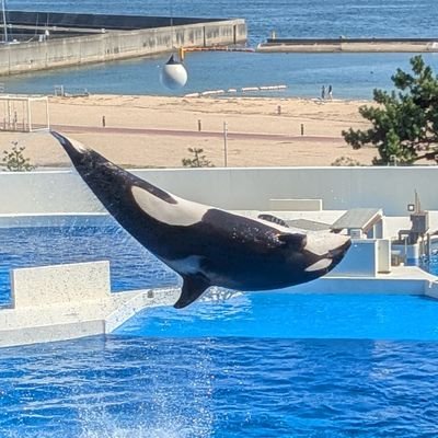 boy5fr's profile picture. きょうと 11 動画は↓のリンク