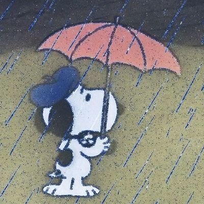 hprqer's profile picture. กำลังใช้ชีวิตให้ดีเหมือนปากอยู่