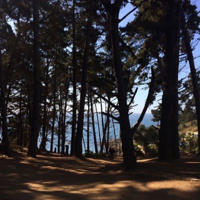 matias_dmn's profile picture. 21 años