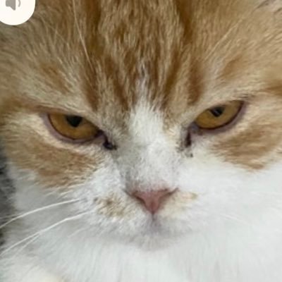 Babyyaminnnnnn_'s profile picture. ญ