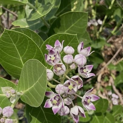 JanhviSeth87730's profile picture. sab bhadiya bolke kuch bhi bhadiya nhi hai... 
https://t.co/ltvm2CS1mU