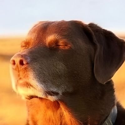 Bencomics11's profile picture. Comic artist / stickers/ HR.