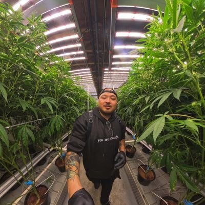 Its_Dion's profile picture. 