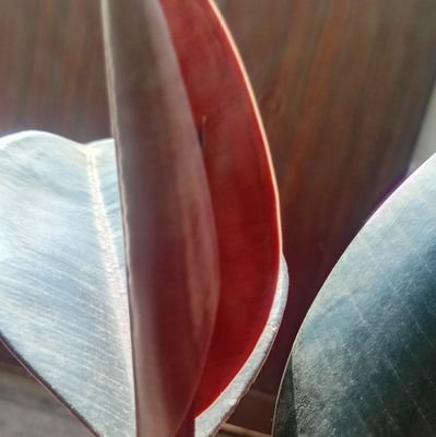 informyoujust's profile picture. https://t.co/Nq5tiyw9Mf