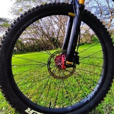 IsmailRohaan's profile picture. Trying doesn't guarantee success, but not trying guarantees regret.